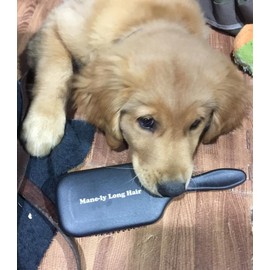 Mane-ly Long Hair Dog Conditioner