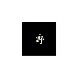 Silver Temporary Tattoo Japanese Kanji - Wild