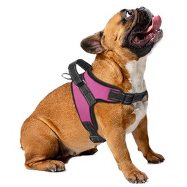 MASCRETTA Arnés/Pechera para Perro. No Daña el Cuello de tu Mascota. Excelente para Pasear. Collar Deportivo con Bandas de Luz Reflejantes para Cualquier Raza. Talla S, M, o G. (Mediano, Rosa)