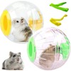 TAIZER Hamster Run Ball Pack of 2 Running Balls for