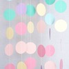 Chloe Elizabeth Circle Dots Paper Party Garland Streamer Backdrop (10-Pack,