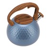 3 Liter Whistling Tea Kettle Stainless Steel Teapot with Handle