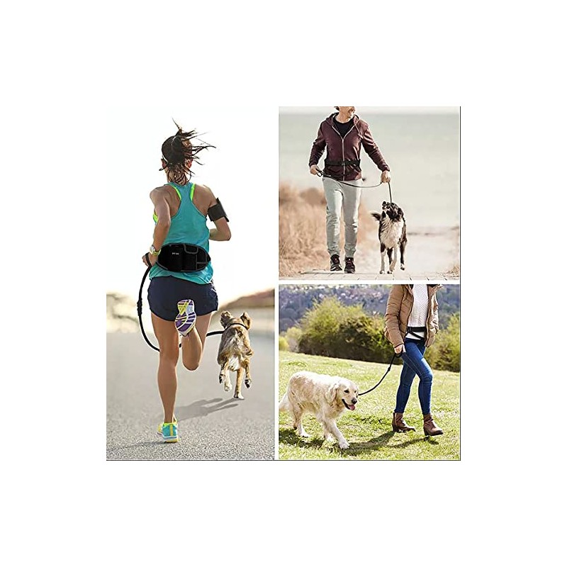 Hands Free Dog Running Lead with Wide Back Support Belt,