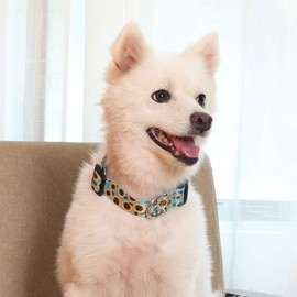 Coomour 2PCS Sunflower Dog Collars and Pet Floral Leash Set Puppy Adjustable Collars for Small Medium Large Dogs Boys Girls (X-Large)