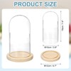 uxcell Glass Cloche Display Dome, 7.4" x 3.9" Glass Dome