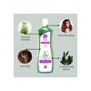 Shampoo Eva Essence Nopal Y Sábila 1l Anticaída Y Anticaspa