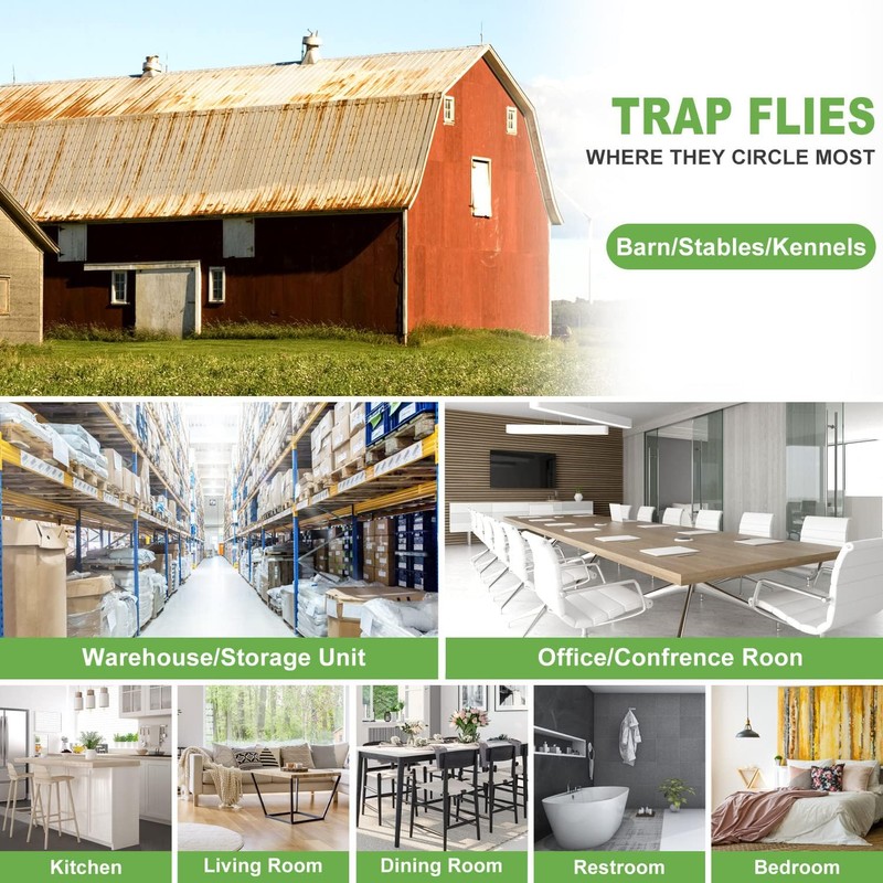 LFSYS 100 Pack Window Fly Trap, Fruit Fly Traps for