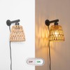 Boho Plug in Wall Sconce Set of 2 – Black