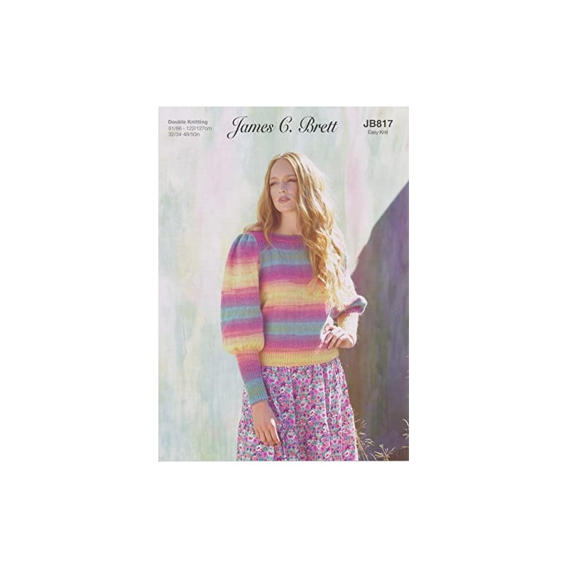 James Brett Womens Double Knit Knitting Pattern Ladies Bishop Sleeve
