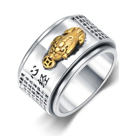 Seiyang Feng Shui Ring 925 Sterling Silver Chinese Mantra Spinner Ring Anillo Pixiu Buddhist Amulet Jewelry Good Luck Health Gift for Men Women
