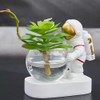 Astronaut Planter, Spaceman Glass Vase，Astronaut Resin Hydroponics Flower Vases，Led Light