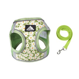 BT Bear Dog Harness and Lead Set,Daisy Flower Adjustable Soft No Pull Dog Vest Harness, Breathable Pet Harness for Cats Puppy Small Dogs(Green,XS)