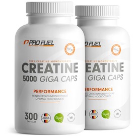 Creatine Capsules 2 x 240 with 850 mg Creapure® Creatine Monohydrate – High Quality Creatine Made in Germany – 100% Vegan – Extra High Dose for Fitness & Strength Sports ProFuel
