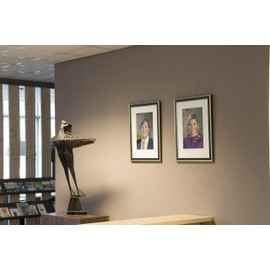 STAS picture hanging (ceiling) system: STAS u-rail black 150 cm (59"") + installation kit