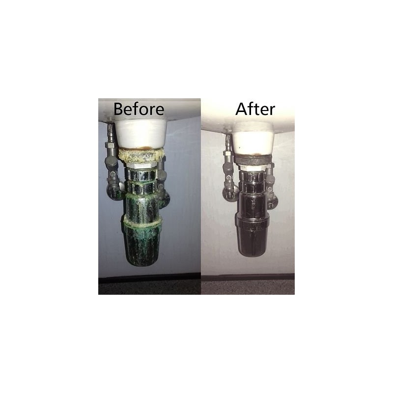 House Mate Shower Head Descaler