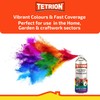 Tetrion Easy Spray Paint – Orange 400ml, Acrylic All-Purpose Spray