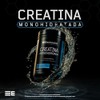 Elemental Creatina Monohidratada Micronizada, Hecho por PiSA, Pureza Certificada Laboratorio