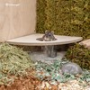 Niteangel Animal Sand-Bath Box: - Acrylic Critter's Sand Bath Shower