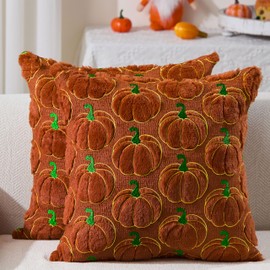 DFXSZ Fall Pillow Covers 20x20 Set of 2 Fall Decorations Autumn Rust Pumpkin Throw Pillow Cases Soft Plush Faux Fur Wool Couch Cushion Case for Chair Sofa Living Room Home Decor PTK041D20