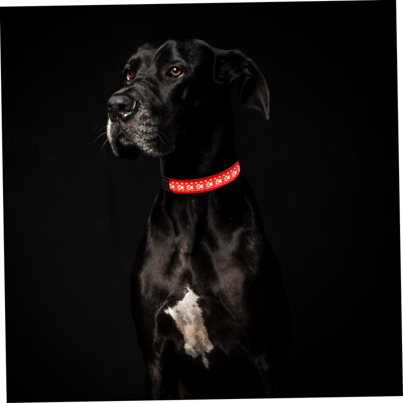 Mipcase 1pc Led Dog Collar Glow Necklace for Night Safety