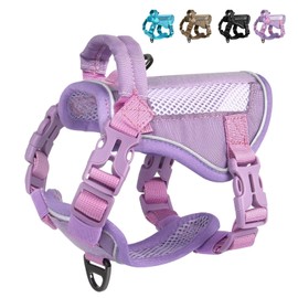Forestpaw Tactical Cat Harness for Walking,Breathable Air Mesh Cat Vest Harness,Adjustable Escape Proof Cat Harness with Soft Padded Handle,Molle Patches,Purple