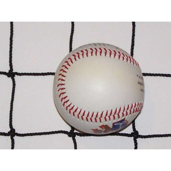 Goodwin Netting 10' x 6' BLACK SQUARE NYLON NET HEAVY