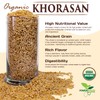 Khorasan Wheat - 100% Certified Organic Khorasan Whole Wheat Grain