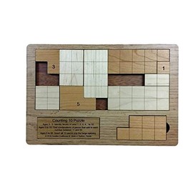 Counting 10 Puzzle - Multiple brainteasing Challenges!