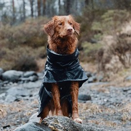 Hurtta Monsoon Dog Raincoat, Waterproof Rain Jacket for Dogs with Reflectors, Black, 35 cm