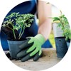 MAPA - Short work made from recycled fibres - Gardening