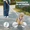 Pawaboo Small Dog Harness and Leash Set, Puppy Harness X-Frame