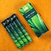Hexa Aloevera Incense Sticks - Pack of 6 Incense, 120
