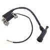 Ignition Coil Spark Plug Air Filter Stop Switch Engine Replacement