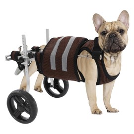 Dog Wheelchair for Back Legs,Light Weight Dog&Cat&Pets Wheelchair Cart with Disabled Hind Legs Walking,Adjustable Doggy Wheelchair Cart with Wheels for Back Legs (Grey)