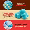 Sour Gummi Bears Candy 2-Pound Bag | Blue Raspberry Chewy
