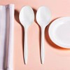 Basic Cutlery Collection 50-Count Medium Weight White Plastic Soup Spoons