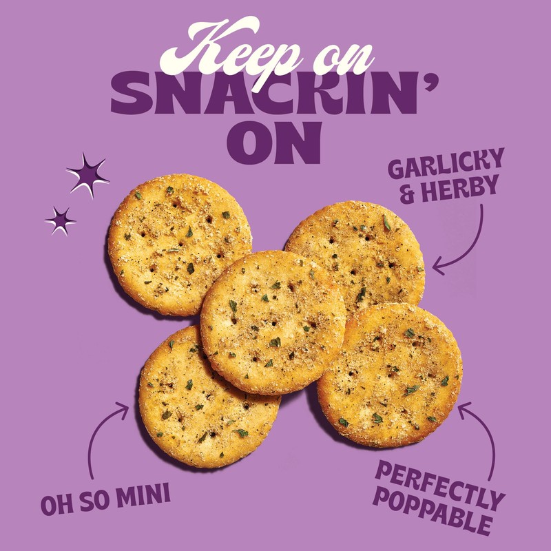 NEW Back to Nature Garlic & Herb Mini Seasoned Crackers,