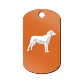 Mister Petlife Chesapeake Bay Retriever Engraved Keychain/GI Tag Chessie CBR Orange