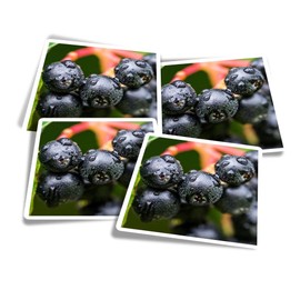 Vinyl Square Stickers (Set of 4) 10cm - Black Chokeberry Fruit Plant Nature for Laptops, Tablets, Luggage, Scrap Booking, Fridges #52642