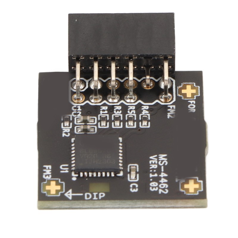 TPM2.0 Module TPM SPI 12Pin Module with SLB 9670 Standalone