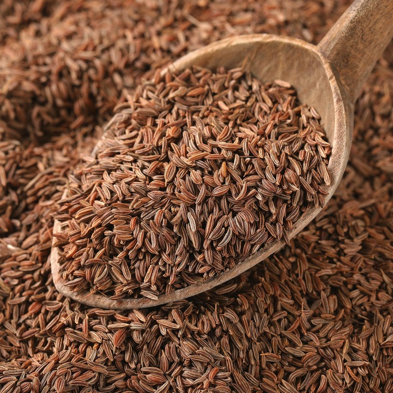GranAroma Caraway Seeds, 15.2 oz, Rich & Nutty, Mild Anise
