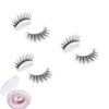  3 Pairs Eternal Joy Eyelashes,Eternal Joy Mart Eyelashes,Reusable Self