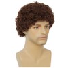 Salaibs Men's Brown Afro Wig Curly Short Wig 70s 80s