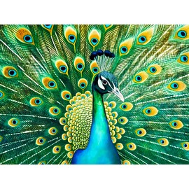 Cross & Glory - Emerald Peacock - 1000 Piece Jigsaw Puzzle for Adults with Stunning Peacock Artwork | Challenging Puzzle for Animal Lovers | Lasting Fun and Display
