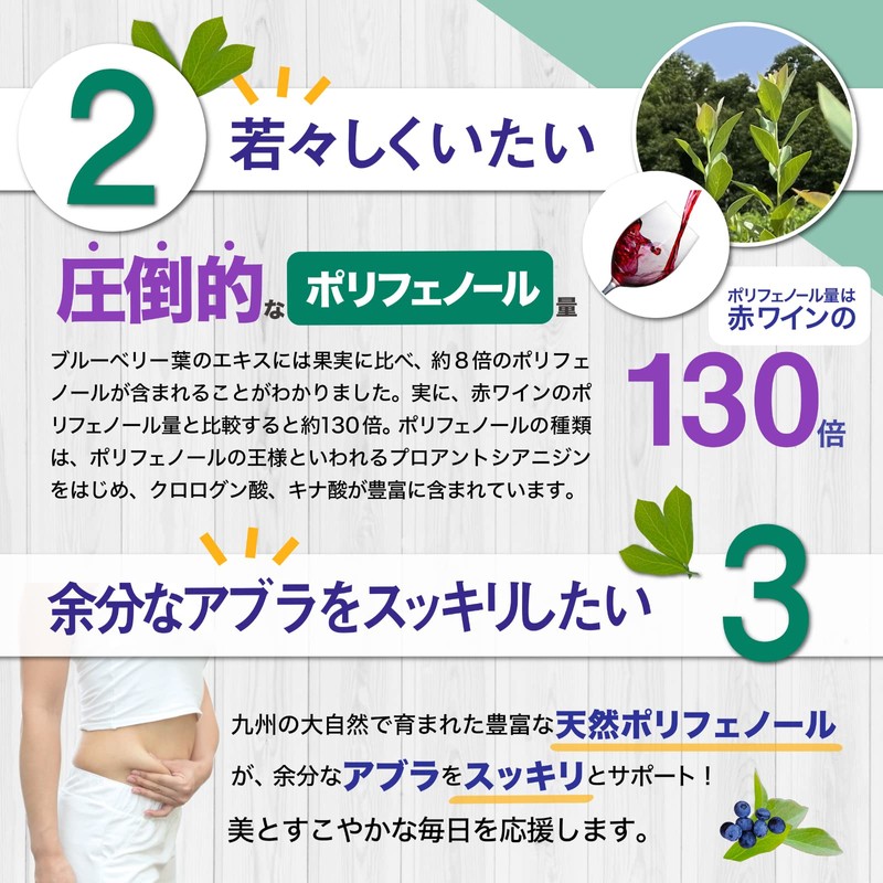 ブルベリーフ ブルーベリー ポリフェノール ルテイン サプリメント (大学/県との共同研究) 九州産 ゼアキサンチンプロアントシアニジン クロロゲン酸 農薬不使用