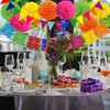 Recosis Mexican Party Decorations, Multicoloured Paper Pompom Hanging Fan Mexico