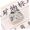 Hohopeti 12-Piece Mineral Rock Specimen Kit for Collection Geology Classroom