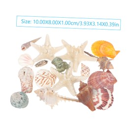 Mobestech 1 Set Natural Crab Shells Aquarium Decoration of Mixed Seashells for Fish Tank Beach Theme Decor for DIY Crafts Home Decor Party Favors Approx