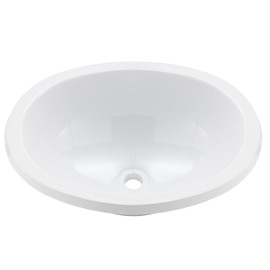 Tough Grade Single Bowl Sink | Bathroom Sink | White or Parchment (White, 16" x 12.25")