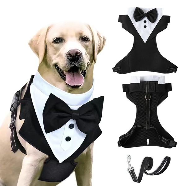 BT Bear Tuxedo Harness, Dog Harness with Leash, Formal Puppy
